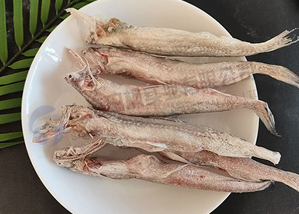 海鮮魚凍干：食品凍干技術(shù)應用于龍頭魚冷凍干燥原理