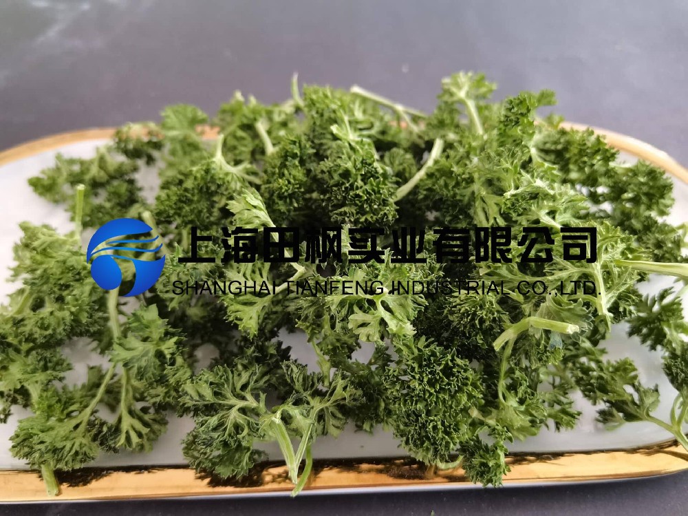 凍干歐芹：蔬菜凍干機在歐芹凍干加工的作用